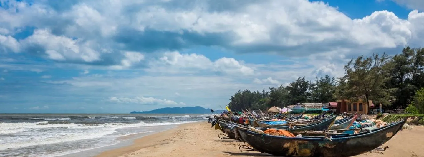 Thu mua trực tiếp từ ngư dân