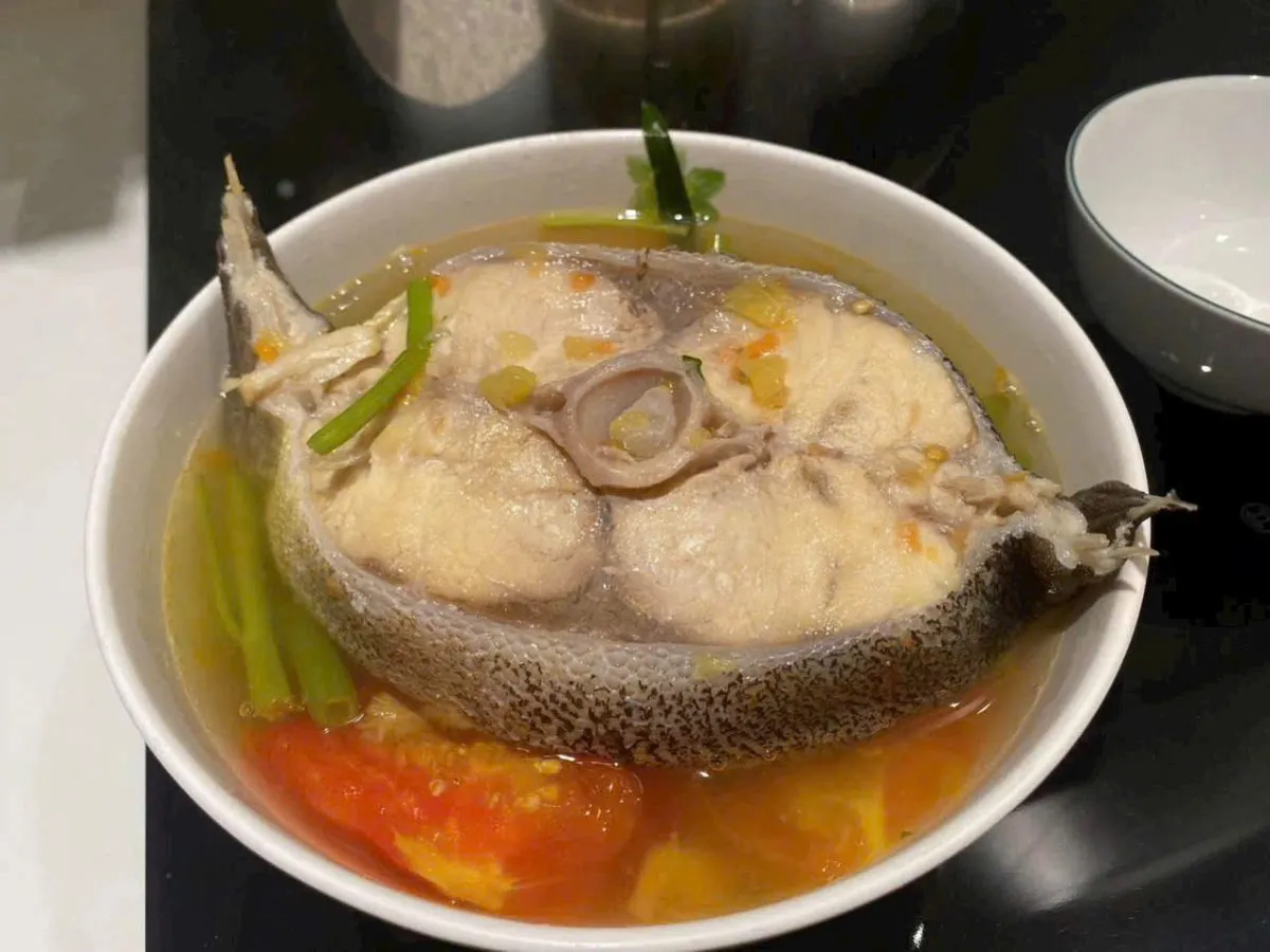 Cá bớp bè – ảnh 5