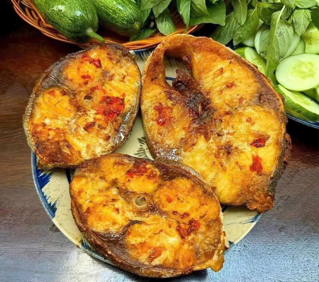 Cá bớp bè – ảnh 4