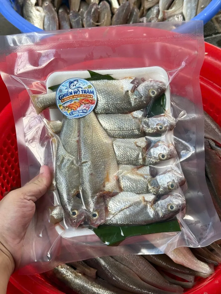 Cá đù nhỏ – ảnh 3