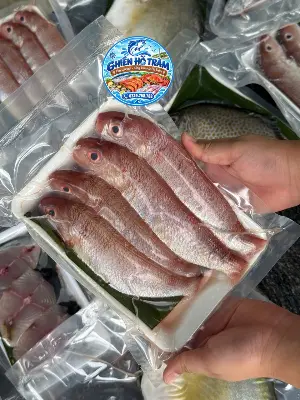 Cá hường