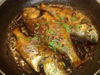 Cá lò Phú Yên – ảnh 4