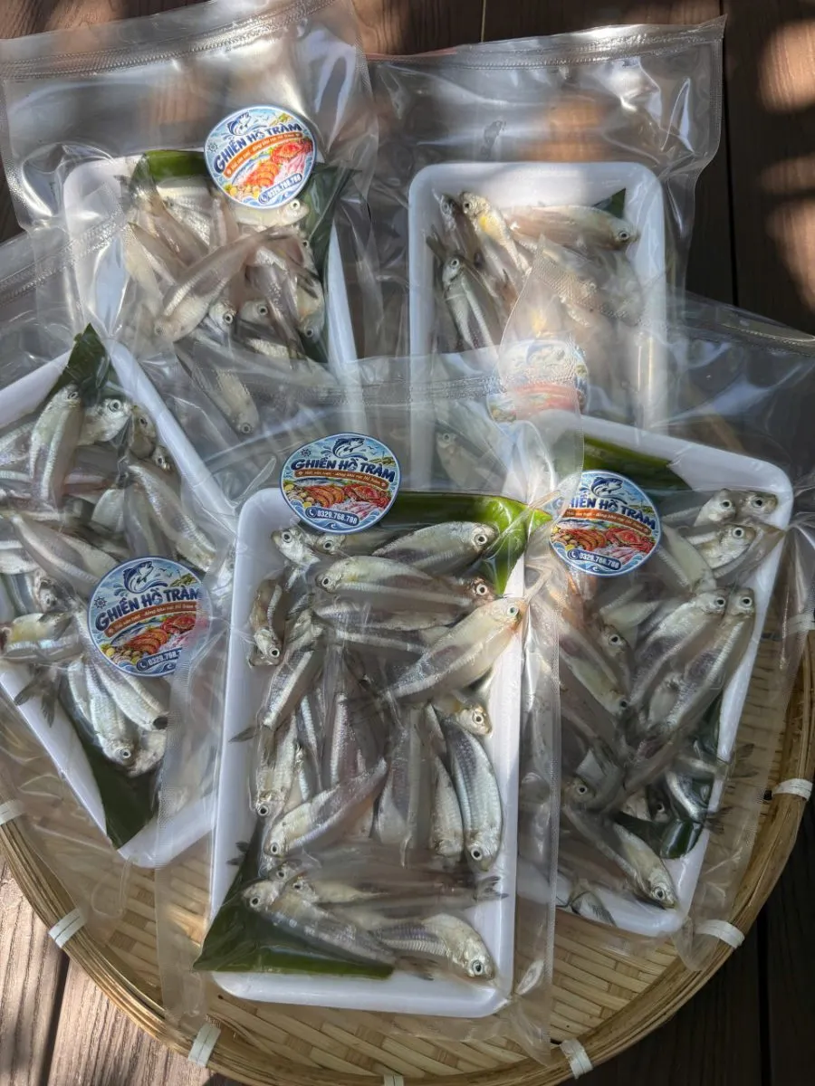 Cá mai – ảnh 2