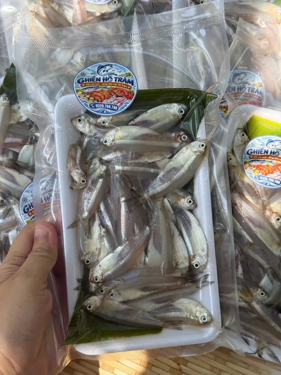 Cá mai – ảnh 1