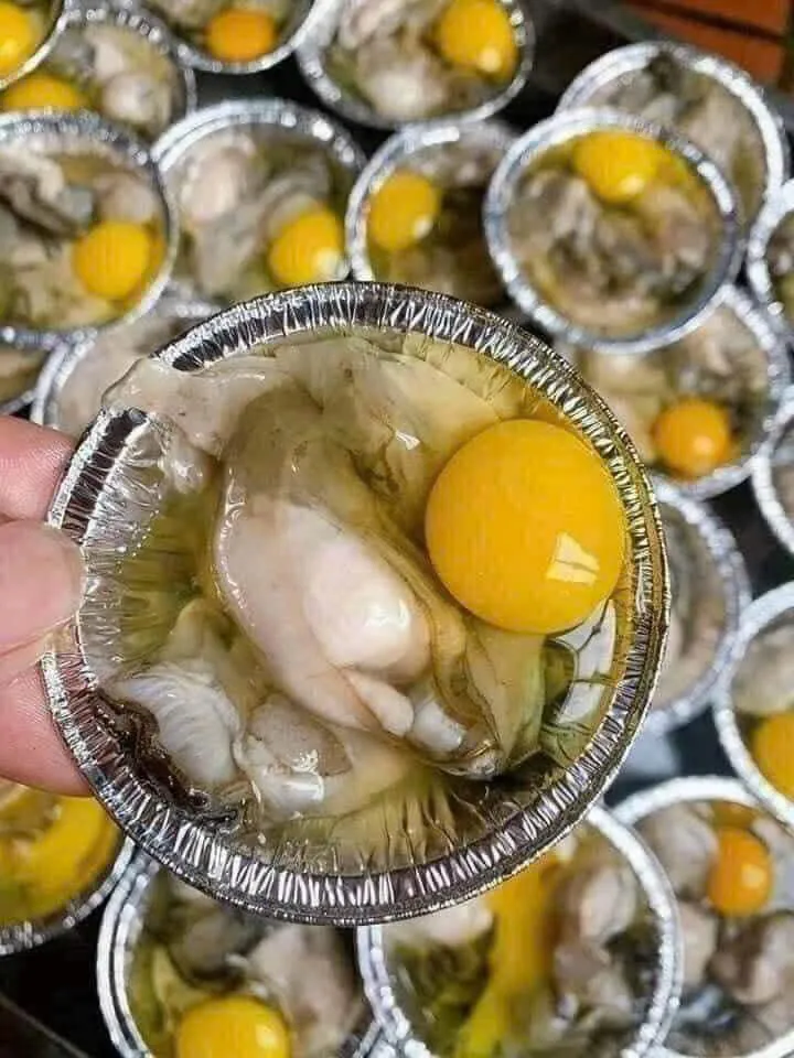 Hàu sữa béo – ảnh 5