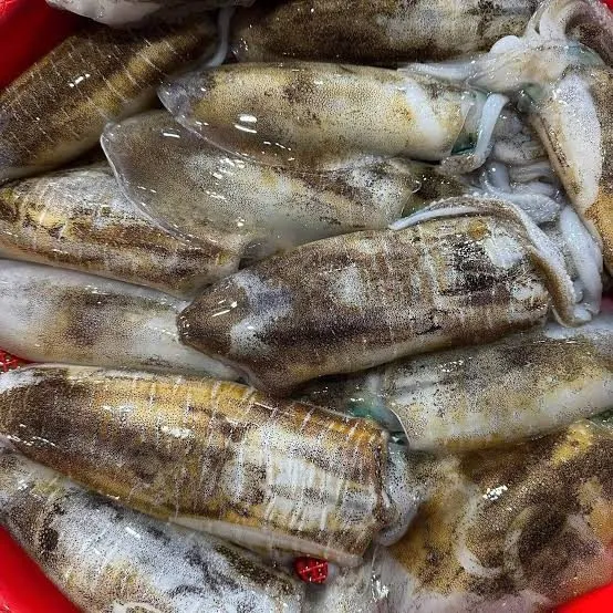 Mực lá làm sạch size 3 con/kg siêu dày thịt – ảnh 3