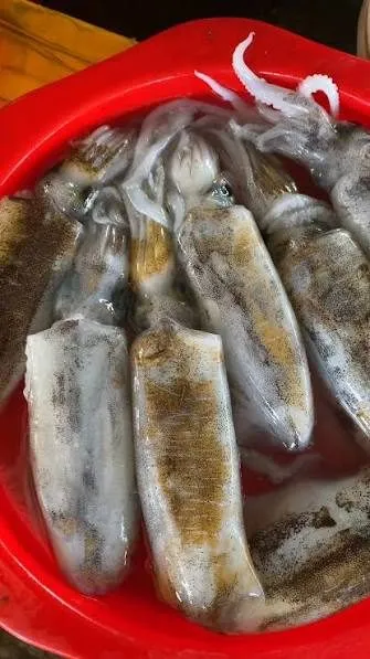 Mực lá làm sạch size 3 con/kg siêu dày thịt – ảnh 2