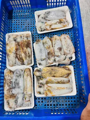 Mực nang mino nháy cấp đông size 3-4con/kg
