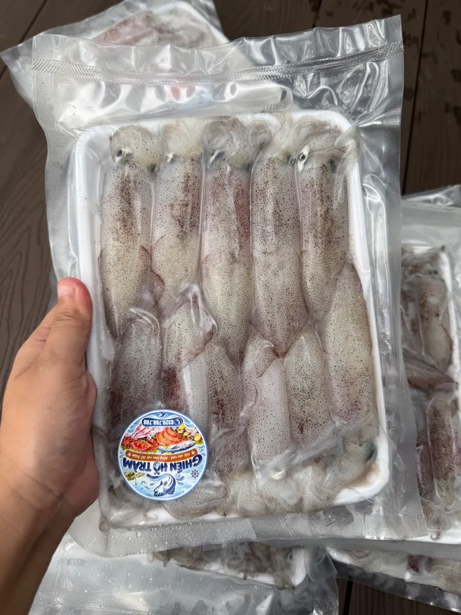 Mực ống nháy mino cấp đông size 22-25con/kg – ảnh 4