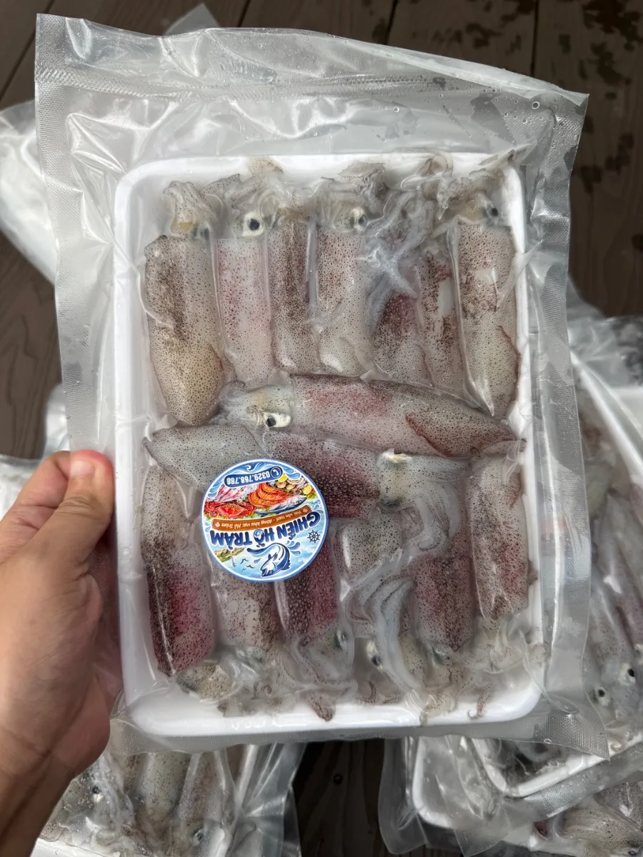 Mực ống nháy mino cấp đông size 22-25con/kg – ảnh 5