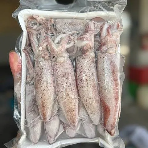 Mực trứng làm sạch – ảnh 2