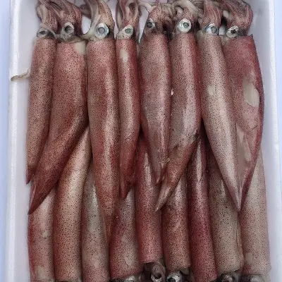 Mực trứng làm sạch