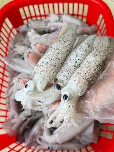 Mực trứng size 14-15 con/kg – ảnh 3