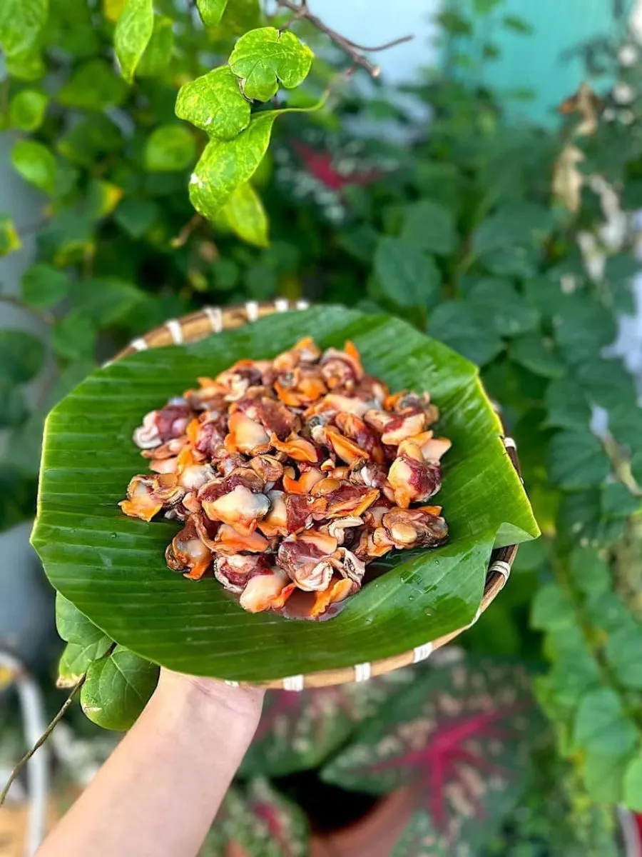 Ruột sò lông tách sẵn – ảnh 3