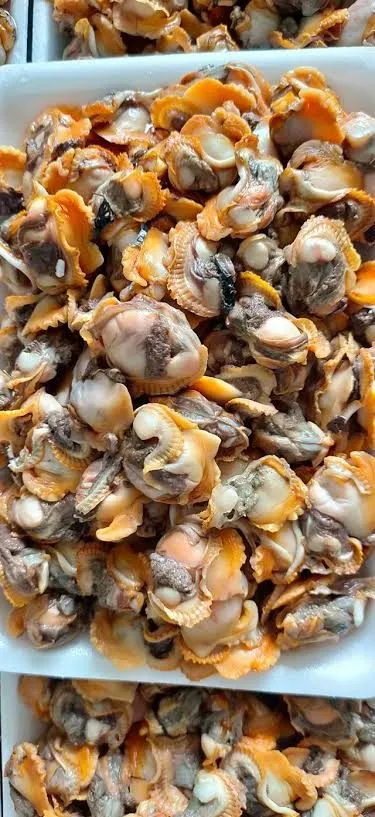 Ruột sò lông tách sẵn – ảnh 2