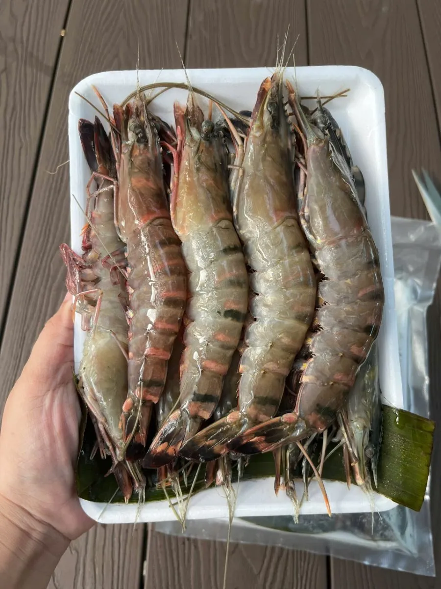 Tôm sú thiên nhiên size 20 con/kg – ảnh 1